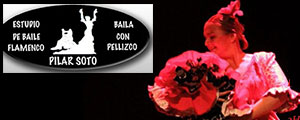 Pilar Soto - Flamenco Courses in M�laga