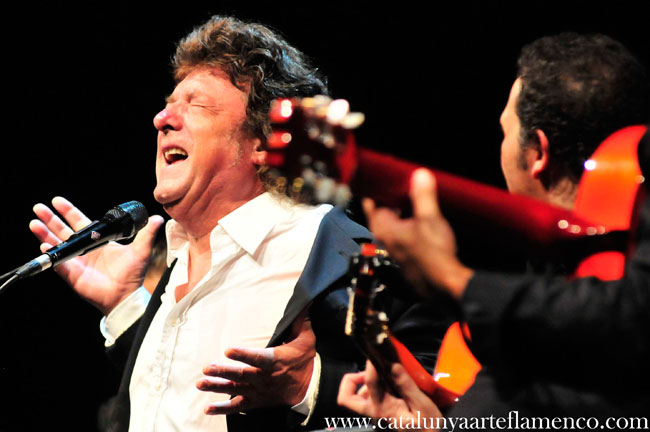 Catalunya Arte Flamenco