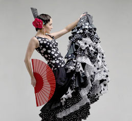 El año flamenco en 2010