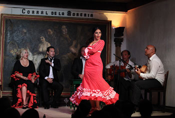 Flamencos de Morón