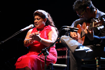 Festival Internacional del Cante de las Minas