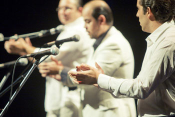Bienal de Flamenco. Foto Luis Castilla
