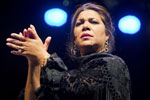 Bienal de Flamenco. Foto Luis Castilla