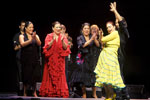 Bienal de Flamenco. Foto Luis Castilla