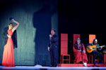 Bienal de Flamenco. Foto Luis Castilla