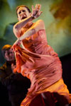 Bienal de Flamenco. Foto Luis Castilla