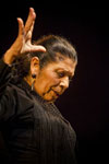 Bienal de Flamenco. Foto Luis Castilla