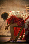 Bienal de Flamenco. Foto Luis Castilla