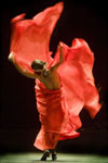 Bienal de Flamenco. Foto Luis Castilla