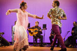 Bienal de Flamenco. Foto Luis Castilla
