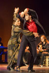 Bienal de Flamenco. Foto Luis Castilla