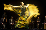 Bienal de Flamenco. Foto Luis Castilla
