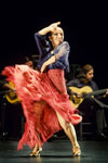 Bienal de Flamenco. Foto Luis Castilla