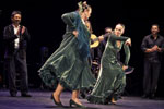 Bienal de Flamenco. Foto Luis Castilla