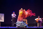 Bienal de Flamenco. Foto Luis Castilla