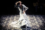 Bienal de Flamenco. Foto Luis Castilla