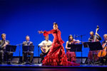 Bienal de Flamenco. Foto Luis Castilla