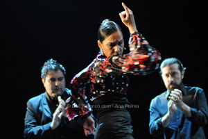 16 Festival Flamenco Ciutat Vella