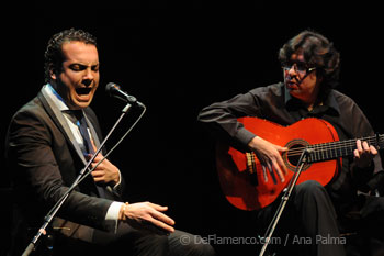Flamenco Biennale III