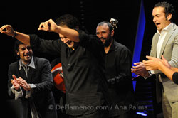 III Flamenco Biënnale Netherland