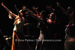 Festival de Jerez - Ana Palma