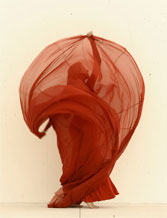 festival de jerez 2012