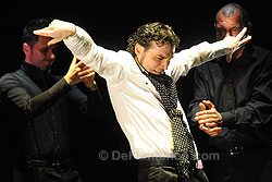 Festival de Jerez - Ana Palma