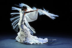 Festival de Jerez - Ana Palma