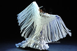 Festival de Jerez - Ana Palma