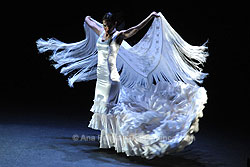 Festival de Jerez - Ana Palma