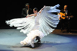 Festival de Jerez - Ana Palma