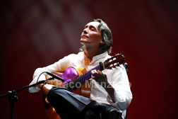 Suma Flamenca 2009 - fotos: Paco Manzano
