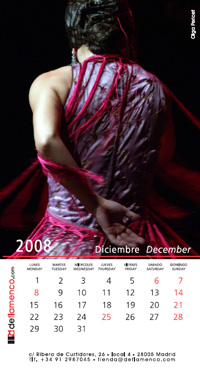 Diciembre - Olga Pericet