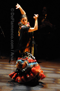 Festival de Jerez 2009