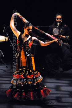 Festival de Jerez 2009