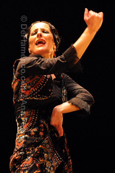 Festival de Jerez 2009