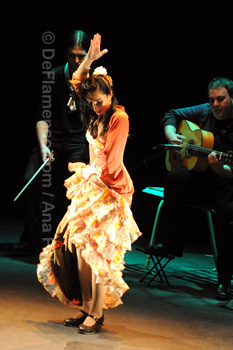 Festival de Jerez 2009