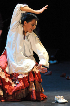 Festival de Jerez 2009