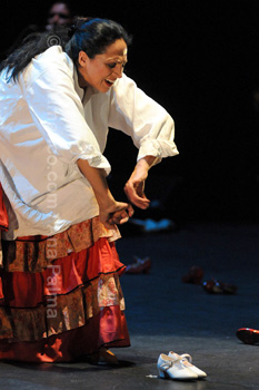 Festival de Jerez 2009