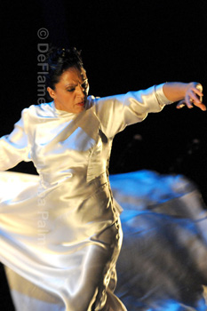 Festival de Jerez 2009