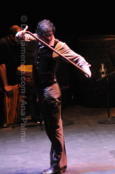 Festival de Jerez 2009