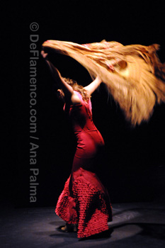 Festival de Jerez 2009