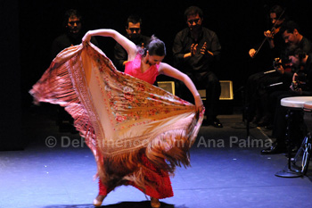 Festival de Jerez 2009