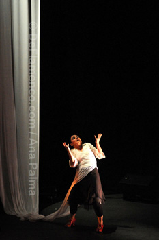 Festival de Jerez 2009