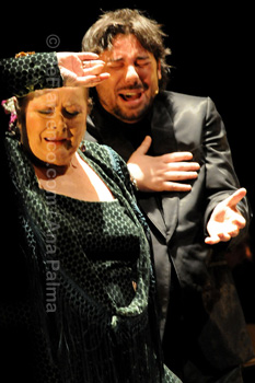 Festival de Jerez 2009