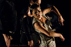 Tanzhaus NRW Flamenco Festival