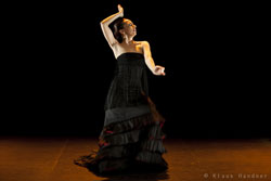 Tanzhaus NRW Flamenco Festival