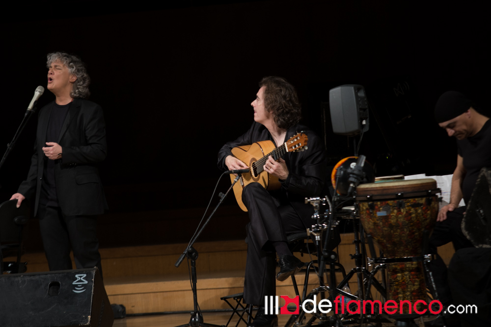 Mayte Martin - Al flamenco por testigo