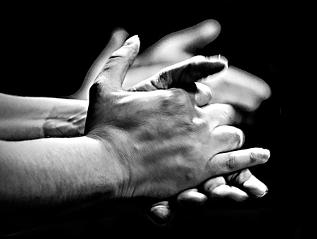 Flamencos de Navarra