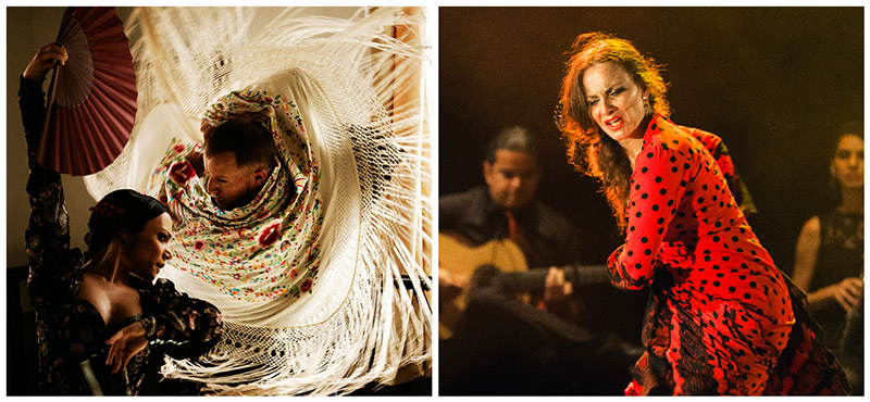 Cursos de Verano - UFlamenco